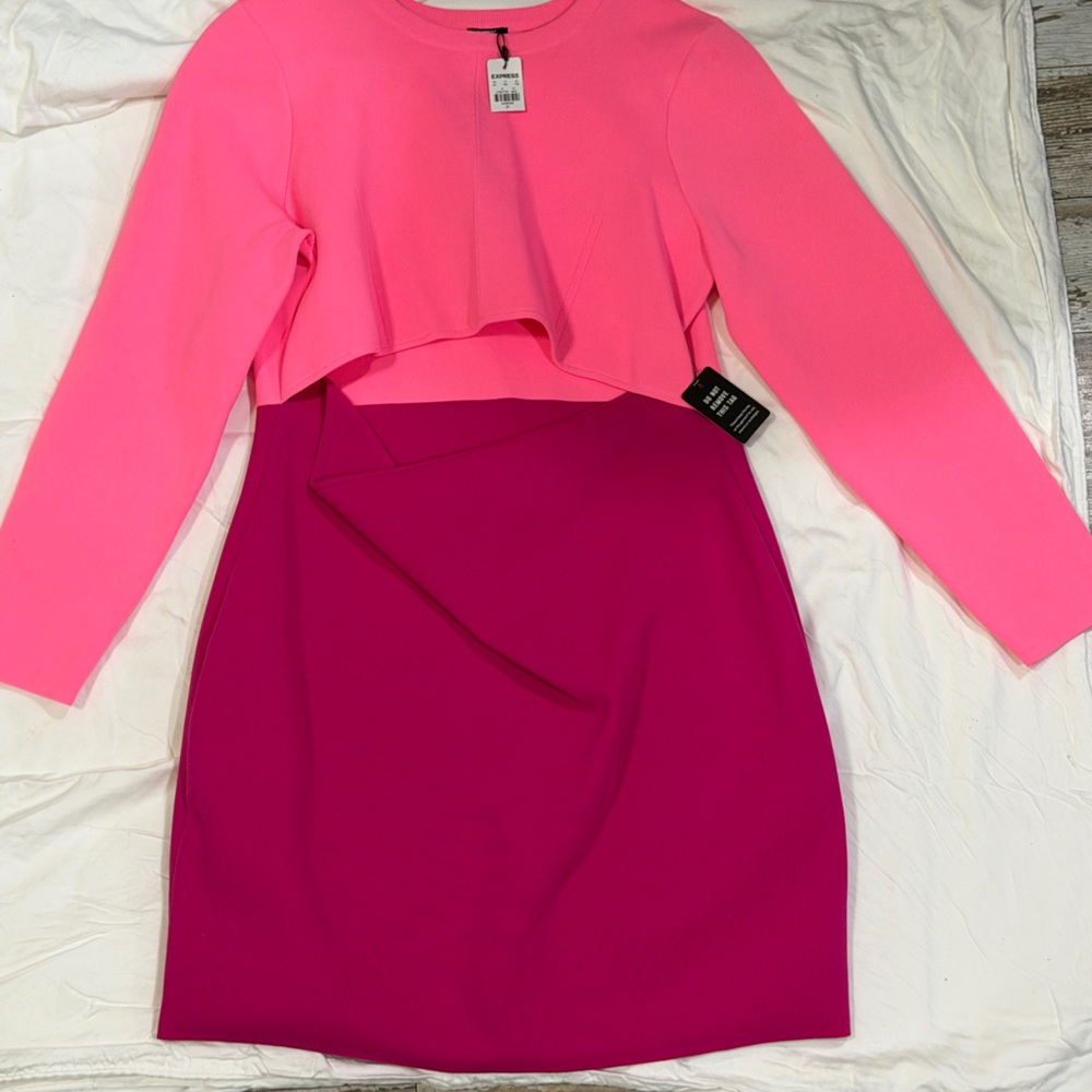 Express Pink and Magenta Dress